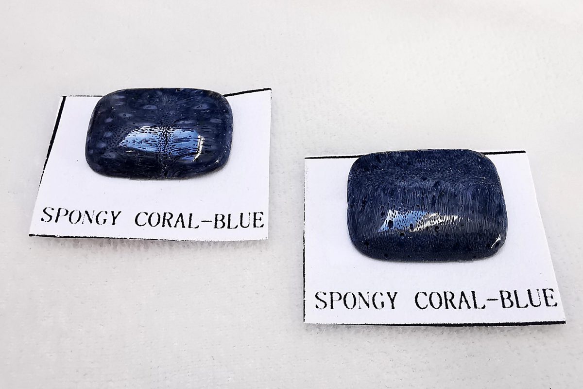 piedra coral esponja azul